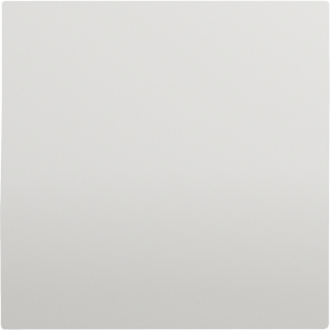 Капачка за празен модул - Бяла